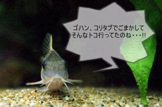 0824.JPG