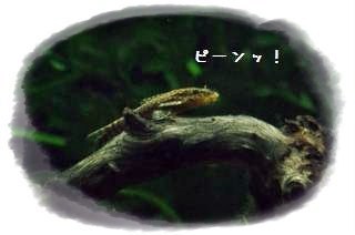 R݂.JPG